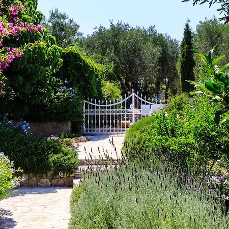 Villa Juniper House