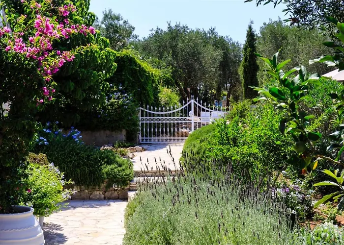 فيلة Juniper House *